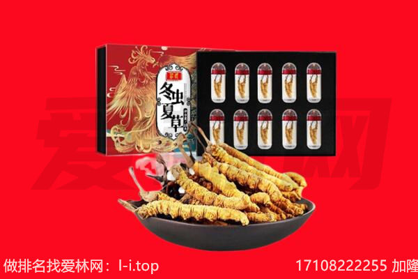蓟州区回收虫草.jpg